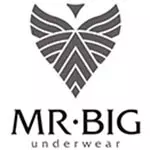 Mr. Big Underwear